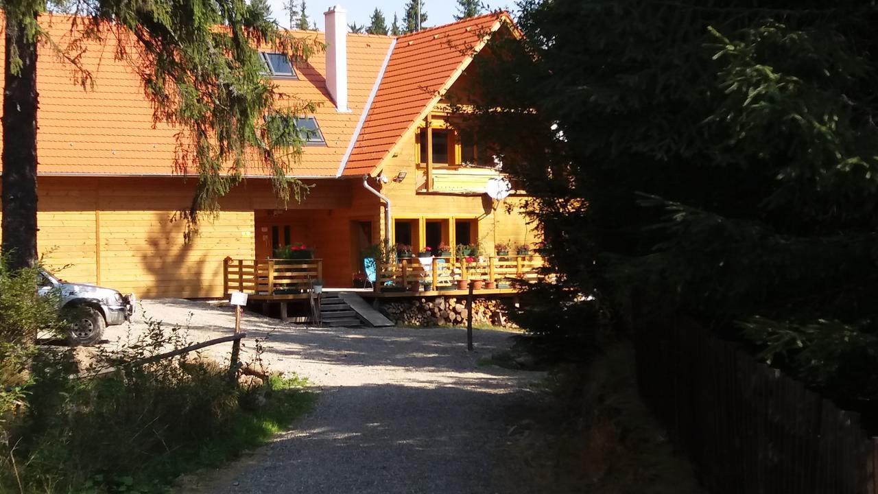 Mofetta Panzió Acomodação com café da manhã Sintimbru-Bai Exterior foto